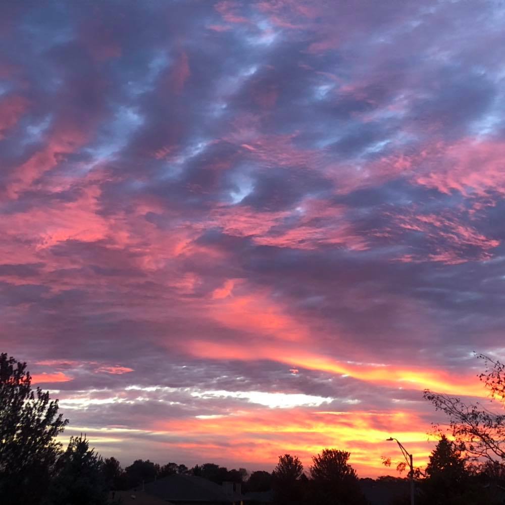 Meet your Posher, Gary